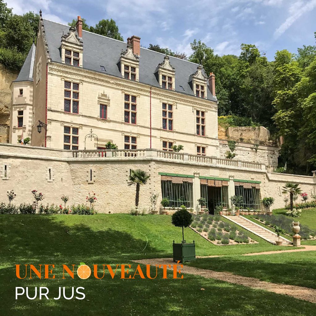 Photo du château Gaillard